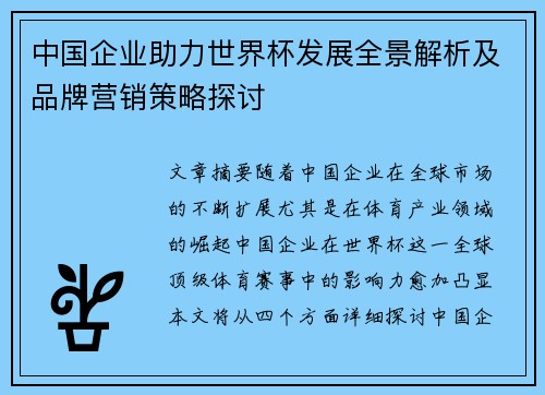 中国企业助力世界杯发展全景解析及品牌营销策略探讨